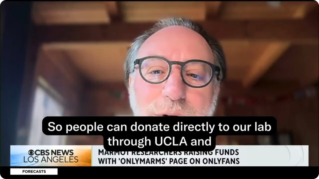 Dr. Daniel T. Blumstein on the OnlyMarms fundraiser